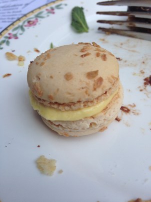 Burbank and Tea Photos 03-17-2016 061